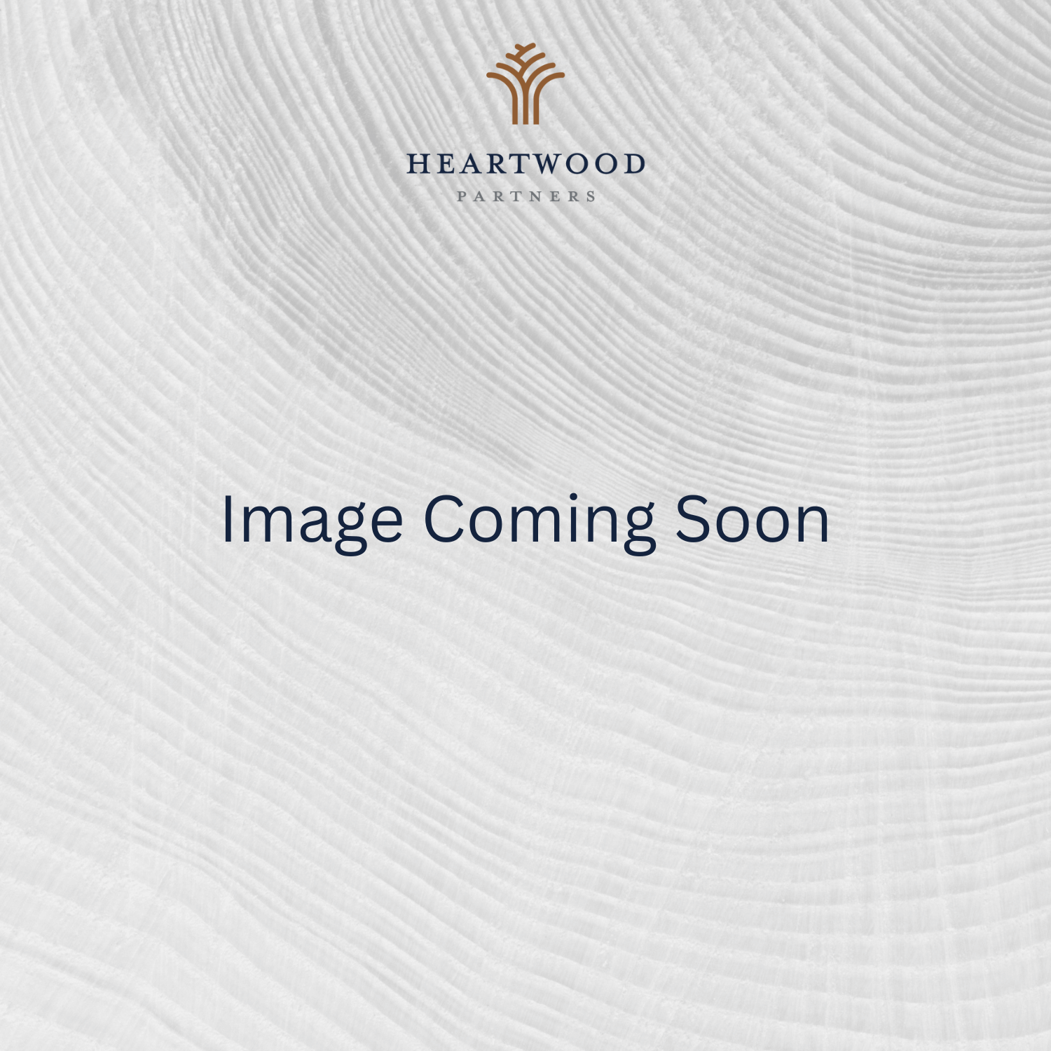 heartwood team member photo